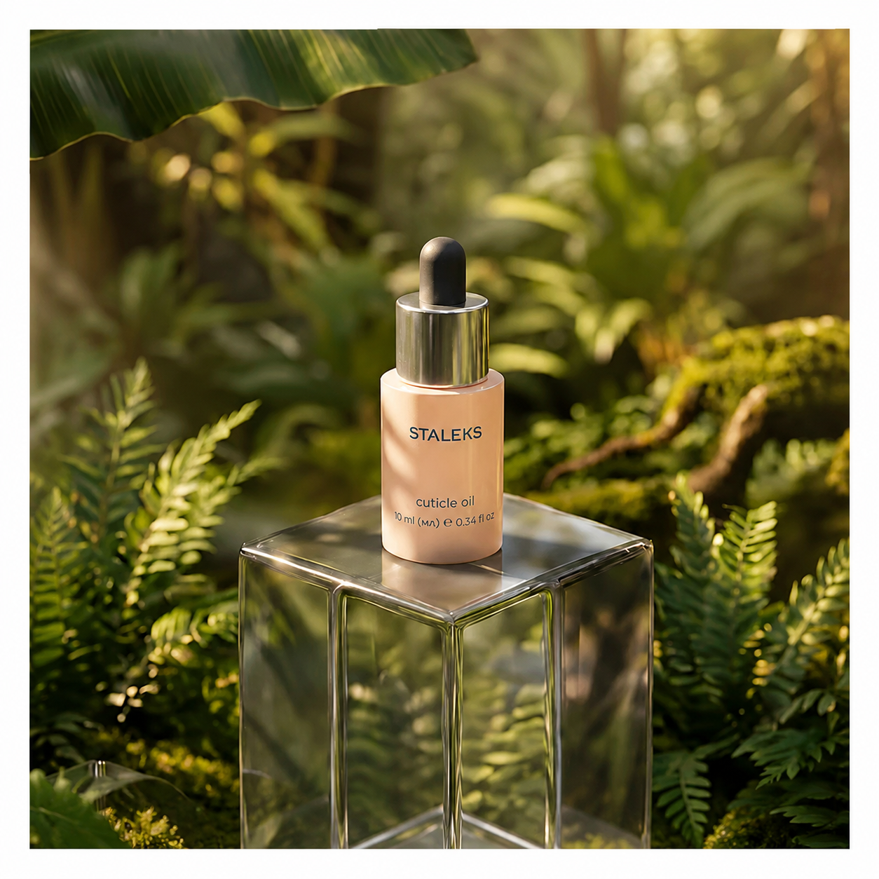 STALEKS odelių aliejus treats, 10ml 1