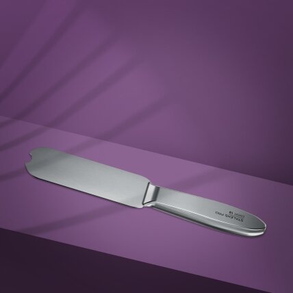 Staleks Pro Expert 10 metalinis pagrindas-padas pedikiūro dildei 1
